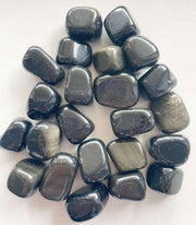 Black Obsidian (Gold Sheen) - Tumble Stone